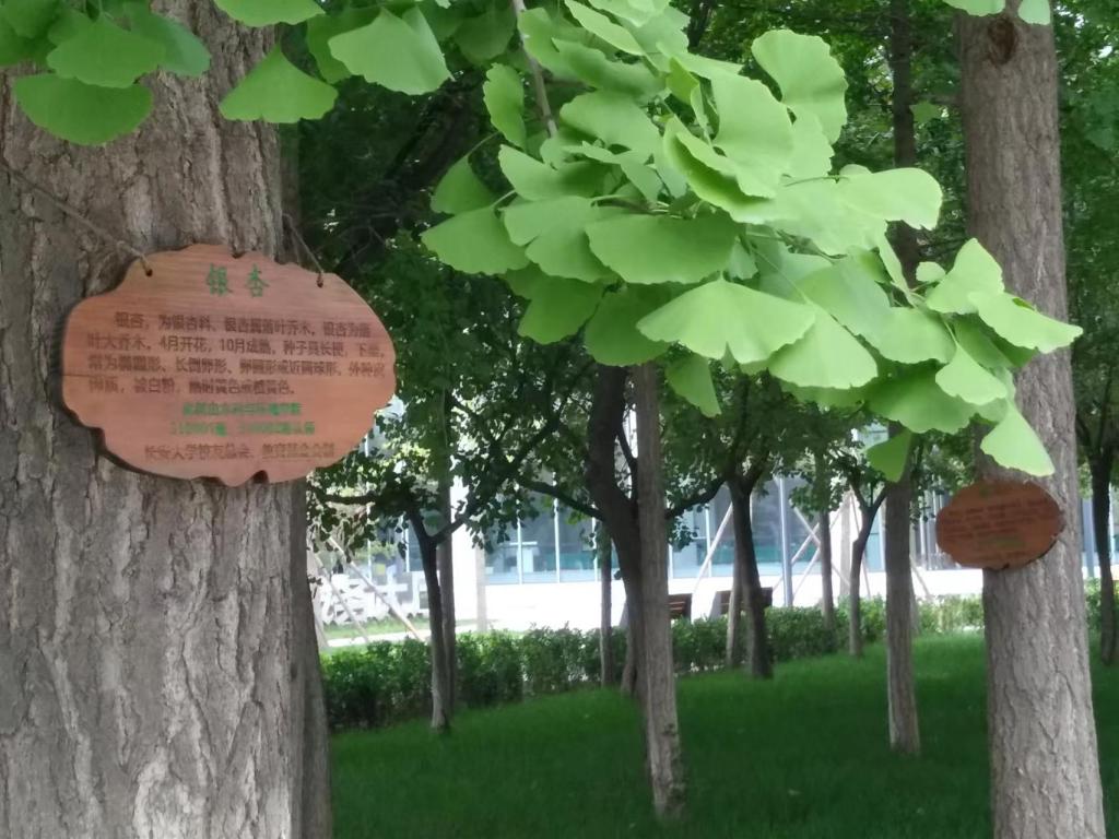 图书馆桌椅